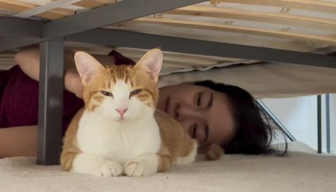 옥자연 프로필 학력 서울대 나이 나혼산 대학 로스쿨 나혼자산다 키 순천 출신 학교 결혼