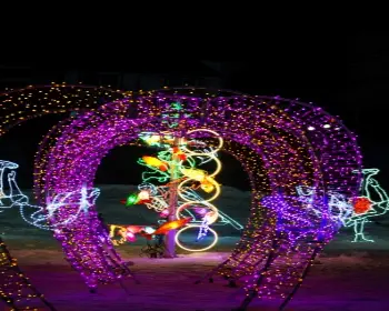 평창 송어축제_29