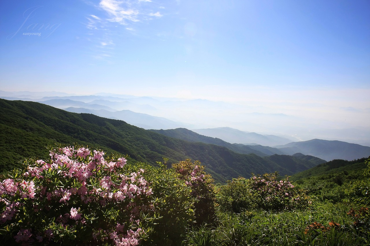 경남에서 즐기는 봄 트레킹 관련 사진