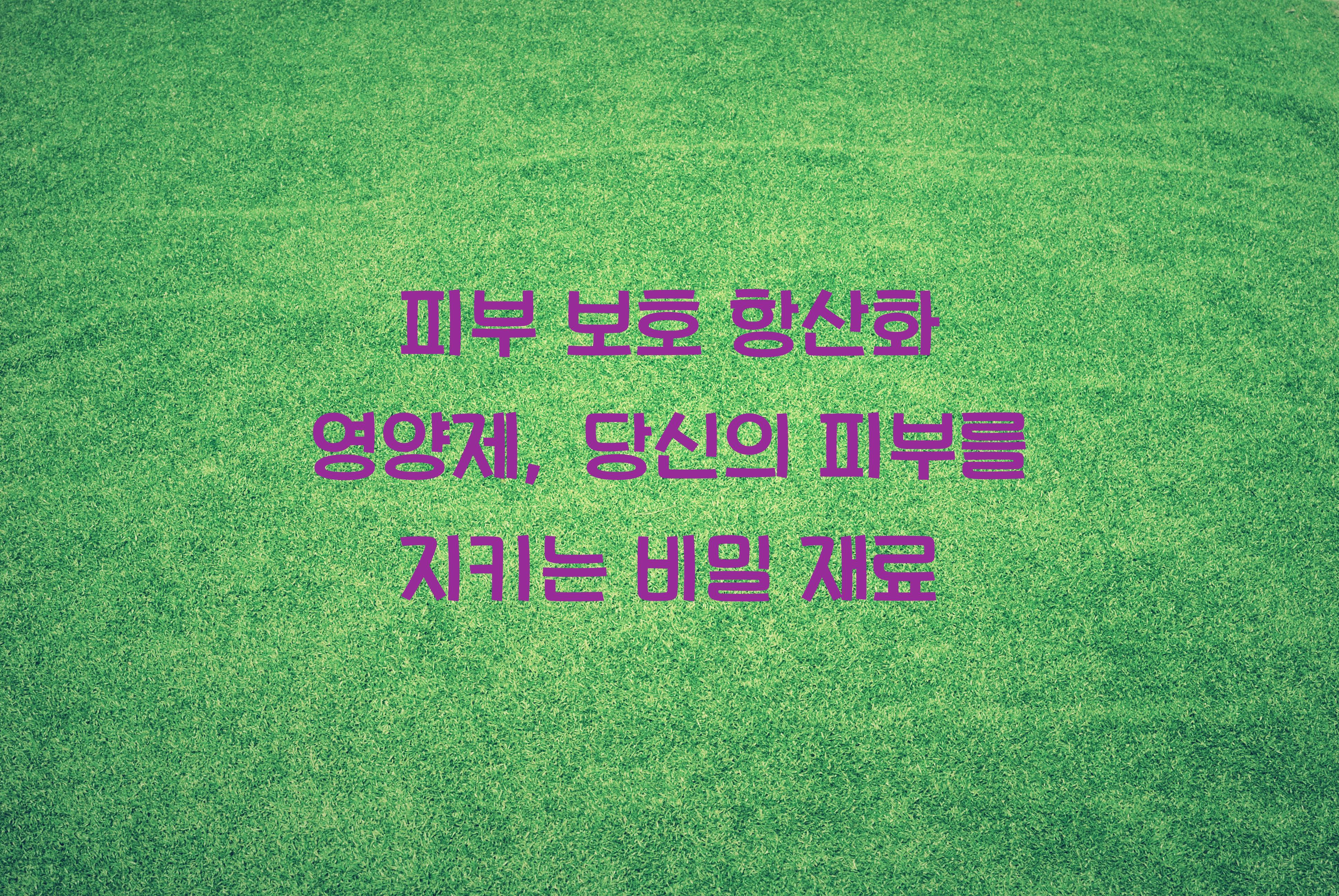 피부 보호 항산화 영양제