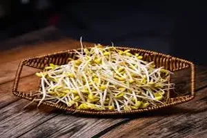 콩나물