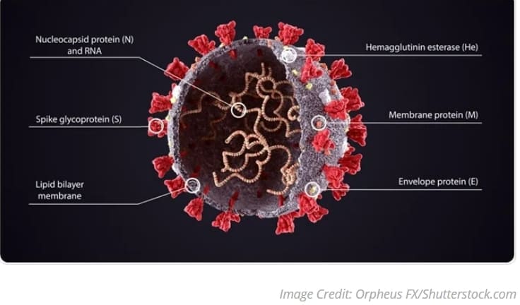롱 코비드, 장기에 의한 각종 감각 손상 증상 유발...종합적 치료해야: MIT MIT 'Gut Instinct' Cause for Numerous Sensory Symptoms in Long COVID, Doctors Offer Comprehensive Treatment