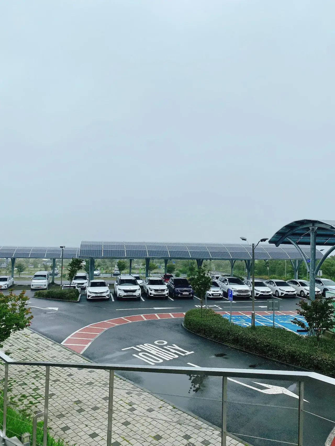 [제주도 9.81 파크 제주] 실패 없는 고카트 체험 최고 스피드 대결 Go Go