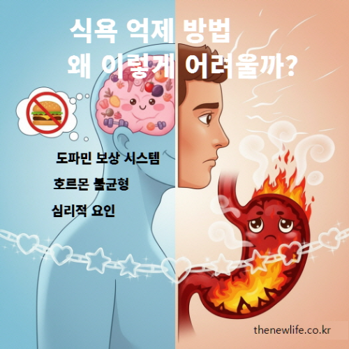 식욕 억제 방법이 어려운 이유 &ndash; 도파민 보상 시스템, 호르몬 불균형, 심리적 요인
