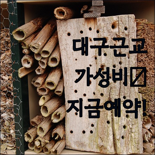 대구 인근 가성비 숙소 추천 TOP ..