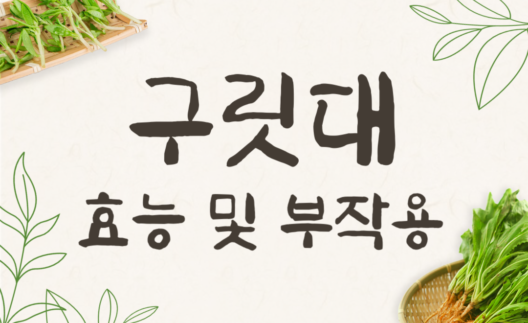 구릿대 효능과 부작용, 백지와 함께하는 건강 비법