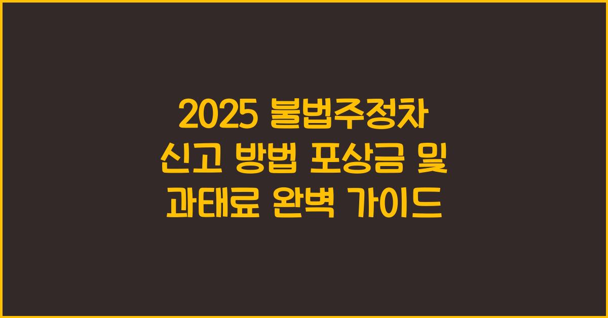 2025 불법주정차 신고