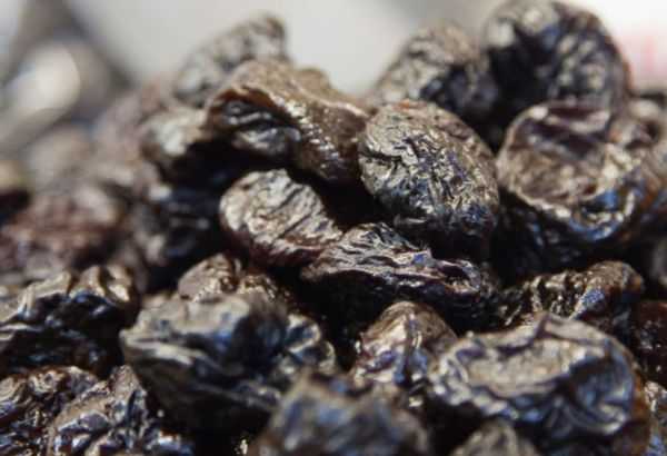 말린 자두 프룬입니다