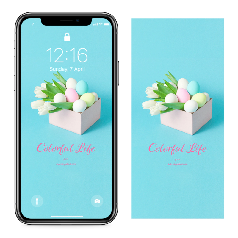 06 튤립과 계란 C - Colorful Life 봄배경화면