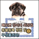 페오펫 썸네일 이미지