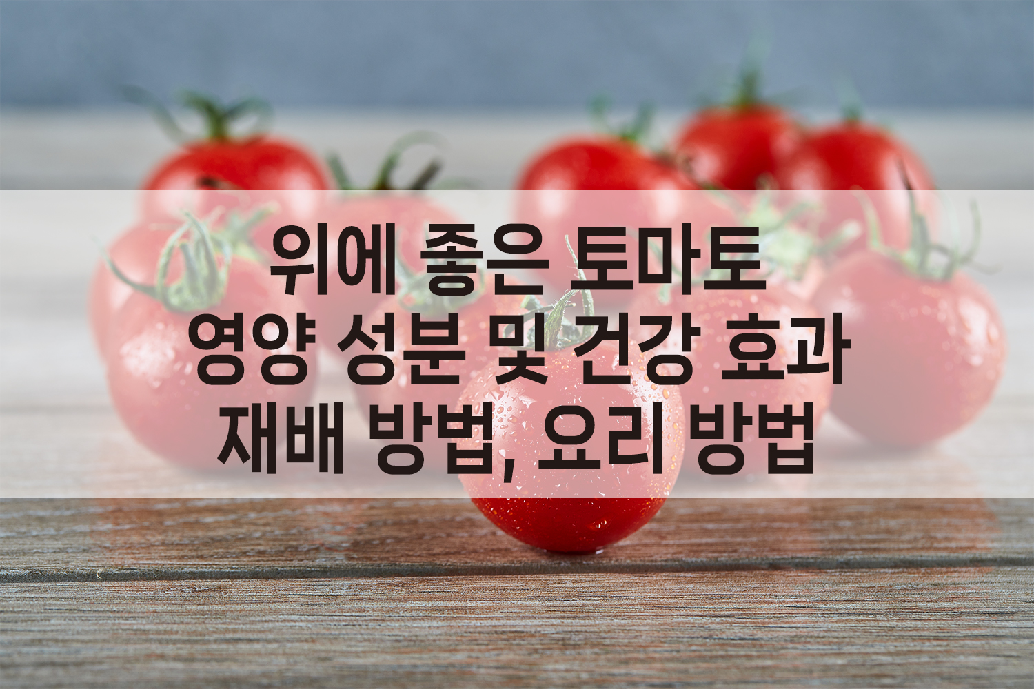 토마토 영양 성분