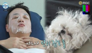 구성환 꽃분이 나이 프로필 사망 나혼산 국토대장정