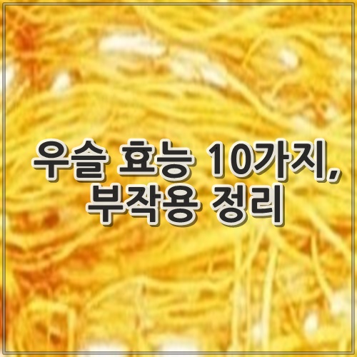 우슬 효능 10가지, 부작용 정리