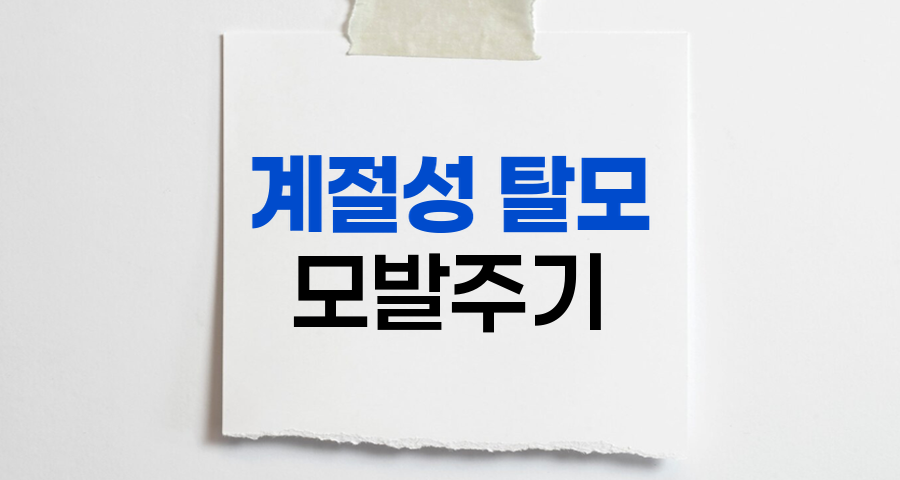 사람의 계절성 탈모와 모발 주기의 비밀