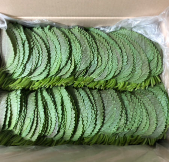 열음농장 깻잎