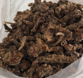 혈관에 좋은 영양제 혈관청소에 좋은 음식&amp;#44; 혈관에 좋은 약초