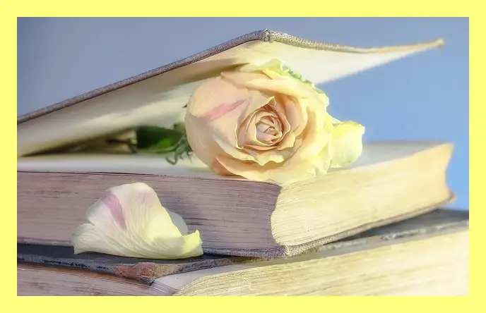 한강 소년이 온다