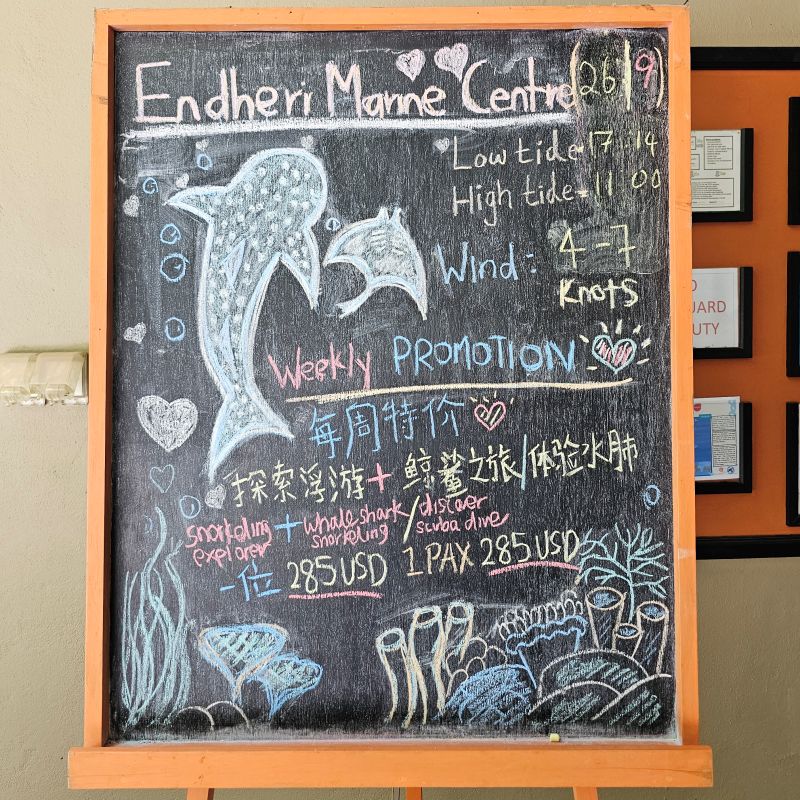 몰디브 앙사나 벨라바루 마린센터 고래상어 투어 가격 및 날씨 안내판