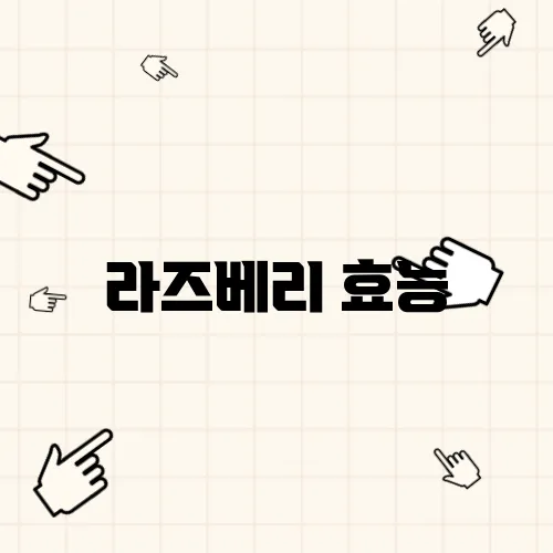 라즈베리 효능
