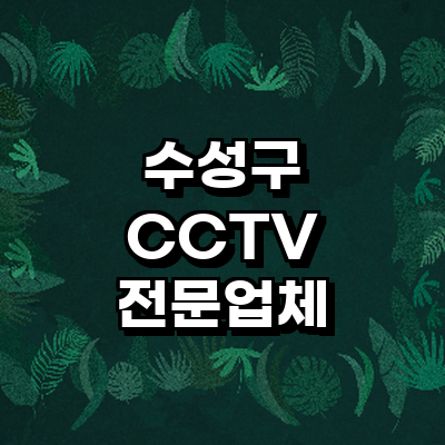 대구 수성구 cctv