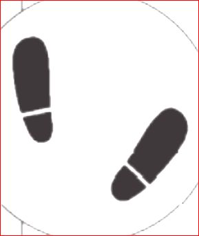 올바른 카메라 잡는 자세: 안정적인 촬영을 위한 기본 가이드