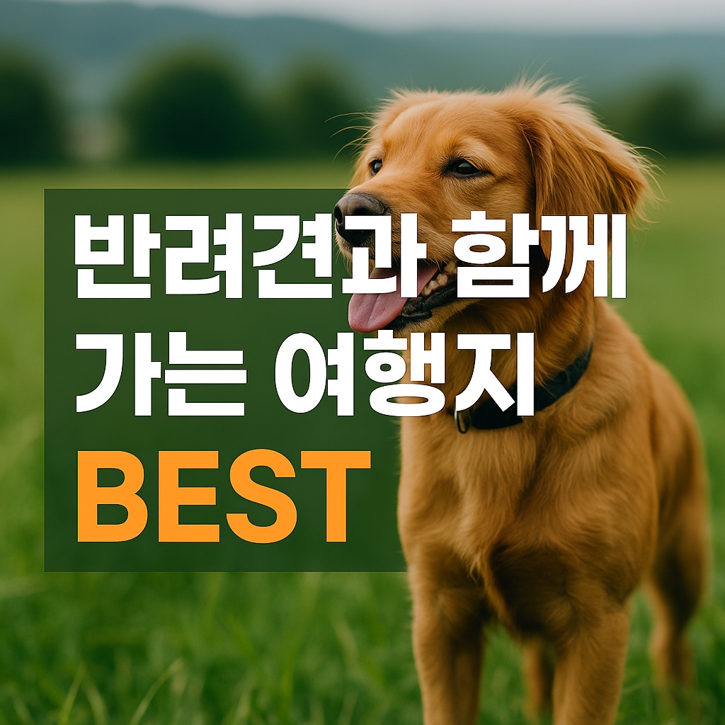 반려견 동반 가능한 국내 여행지 추천