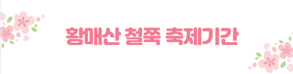 봄꽃 여행지