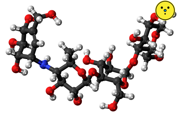 당뇨 전단계 관리법