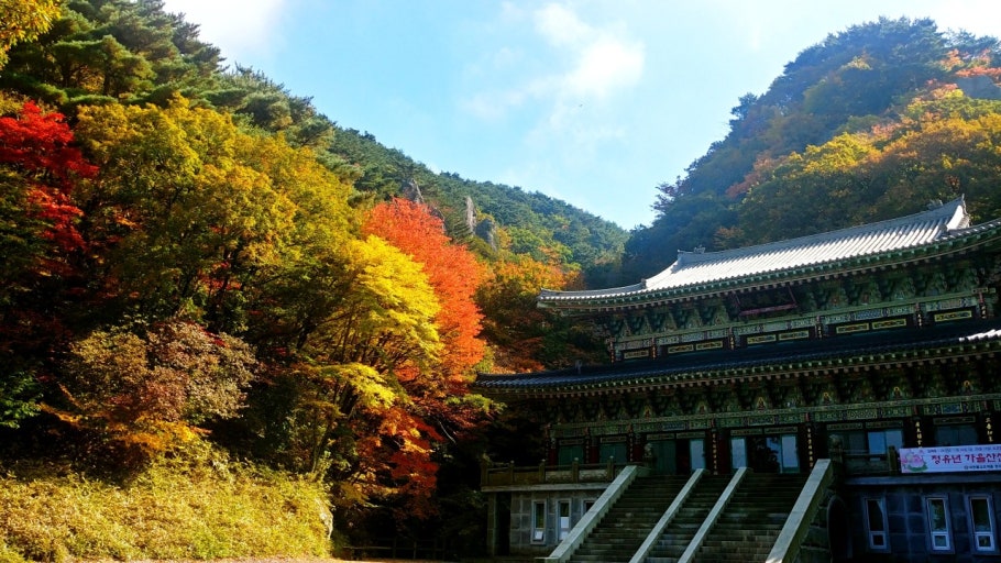 2025 제주도 단풍명소 TOP5｜꼭 가봐야 할 곳들 관련 사진