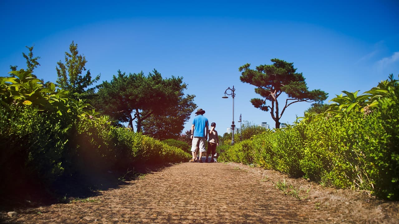 담양 메타세쿼이아 길에서 쓴 시 한 편