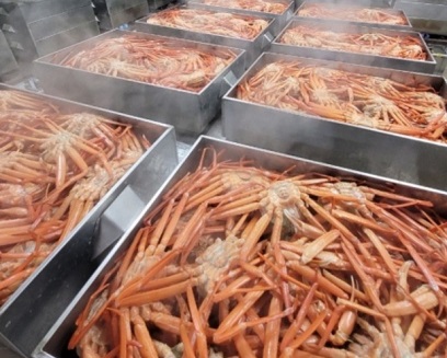 생생정보홍게무한리필