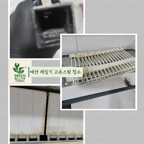 곰팡이 물때