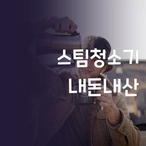 가성비 스팀청소기 추천! 내돈내산 솔..