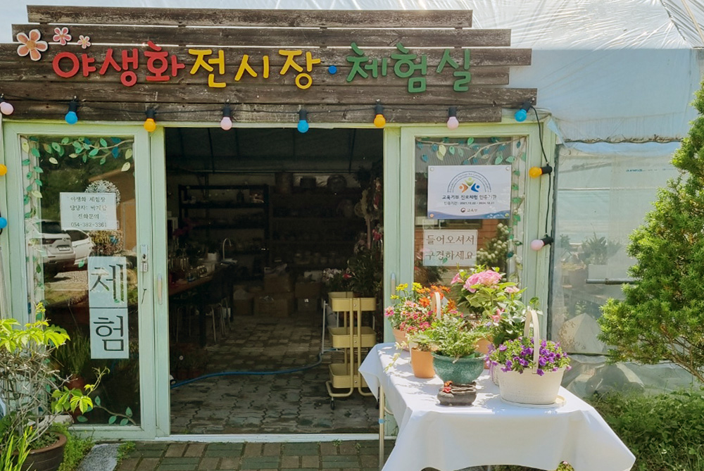 야생화체험