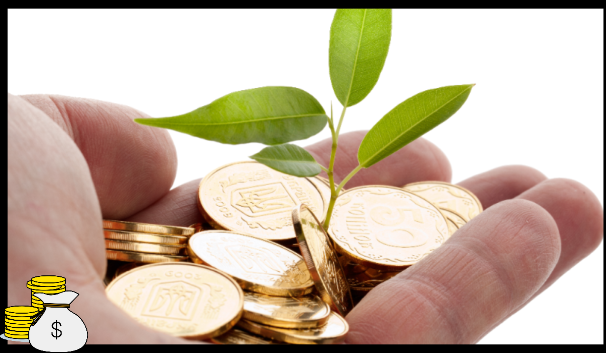 K패스 교통카드