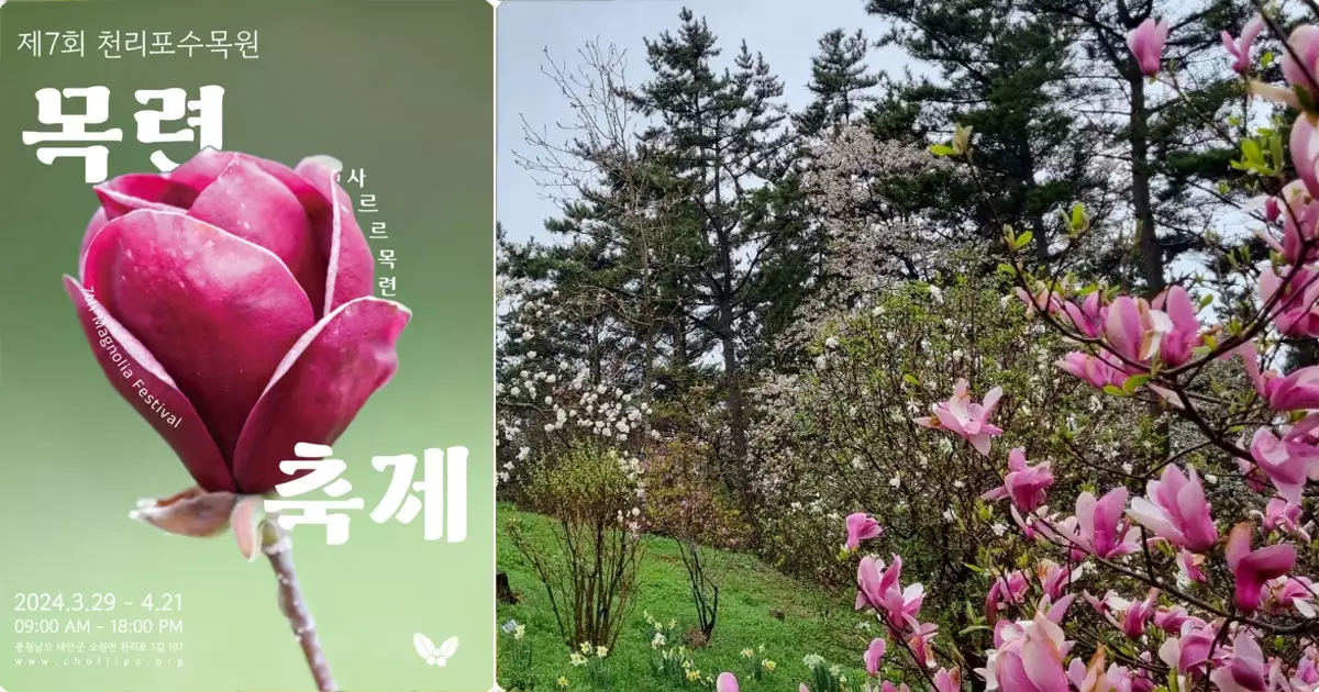 4월 봄꽃 축제- 천리포수목원