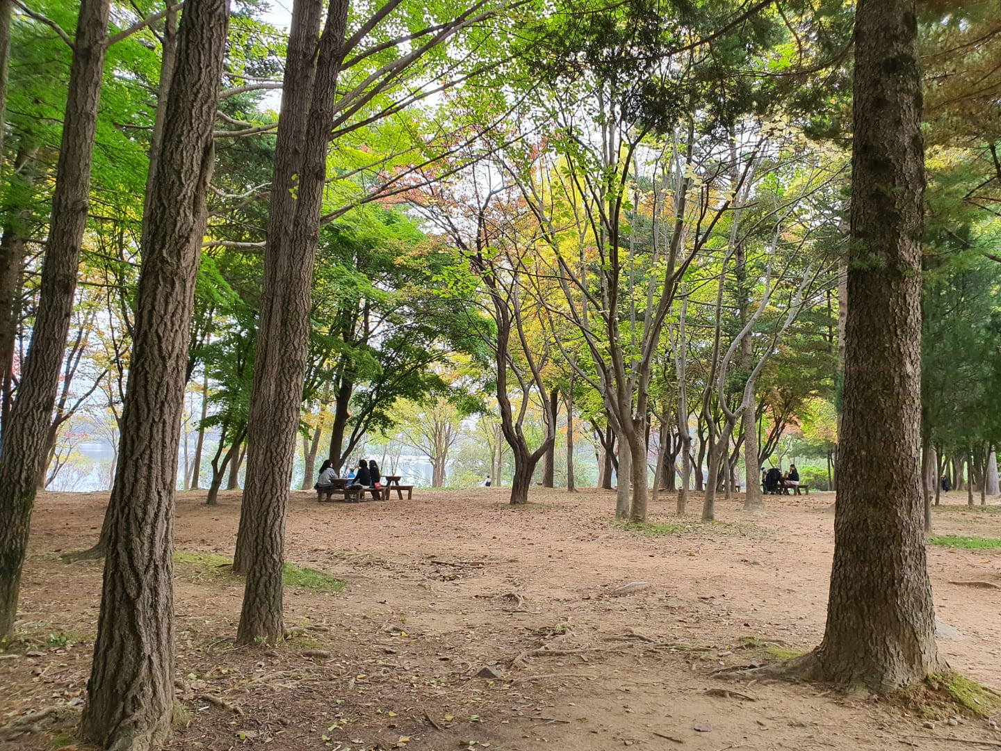 서울대공원 호숫가