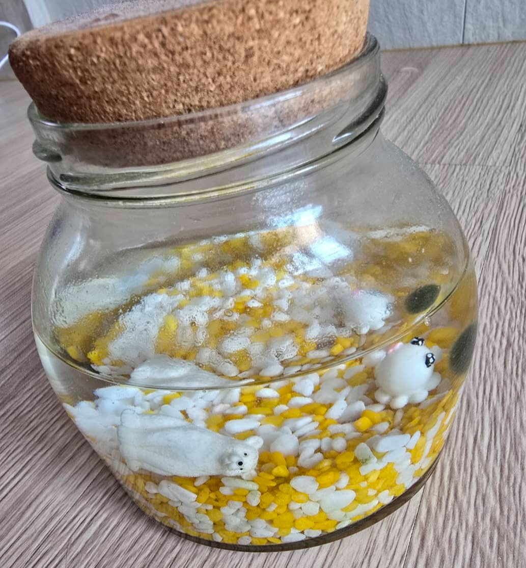 소형 수조에 가장 적합한 나노 물고기 완벽 가이드: 작은 어항에서도 건강하게 키우는 방법