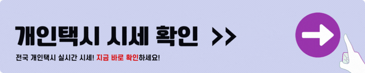 서울 개인택시 시세