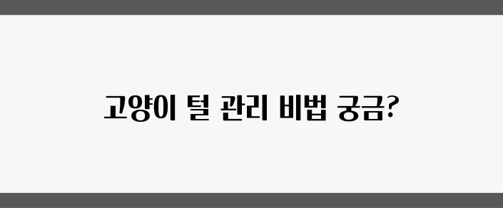 고양이 털 관리의 필수 가이드: 방법과 주의사항을 꼭 알아두세요