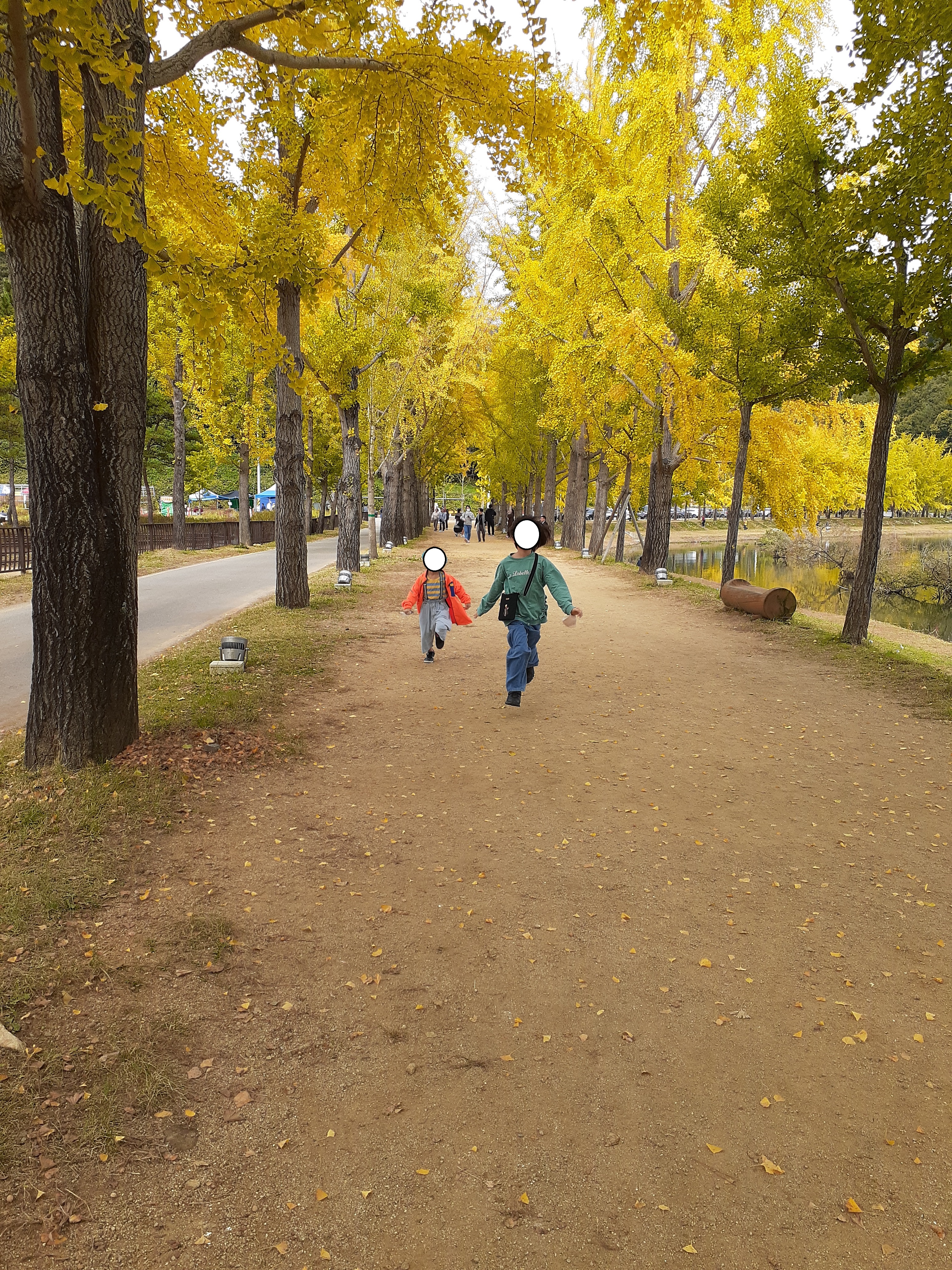 문광저수지단풍