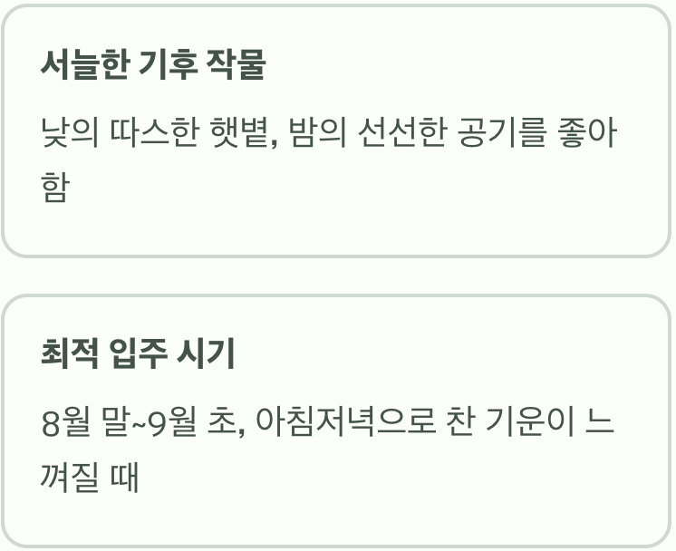 배추는 서늘한 바람을 좋아해요