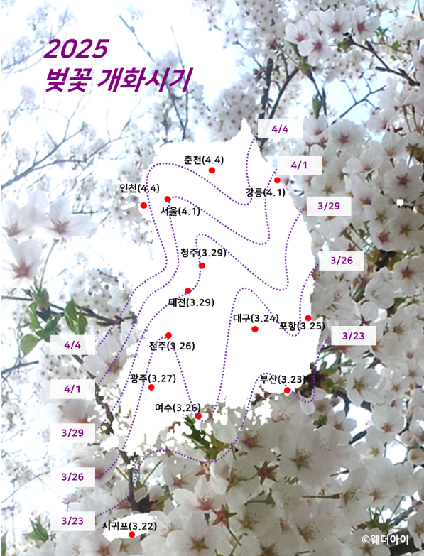 전국 벚꽃 개화 예정일 지도