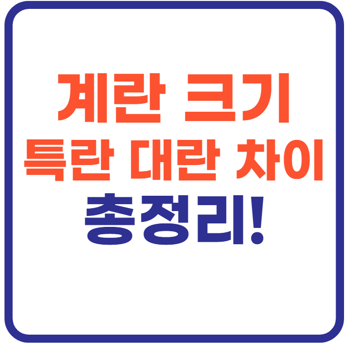 계란 크기 순서|특란 대란 중란 차이