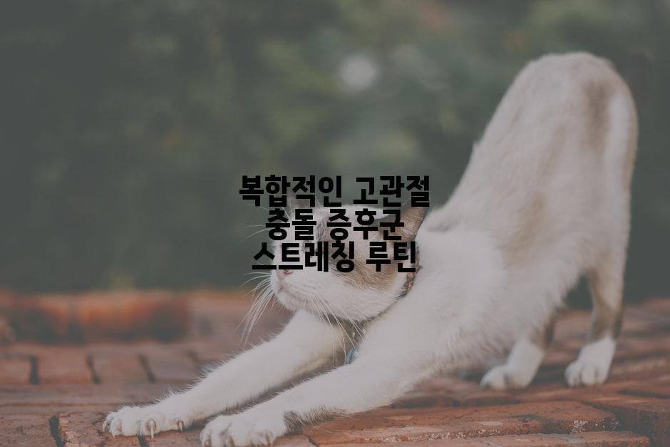 복합적인 고관절 충돌 증후군 스트레칭 루틴