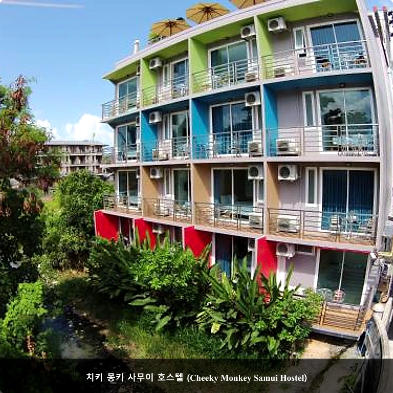 치키 몽키 사무이 호스텔 (Cheeky Monkey Samui Hostel)_4