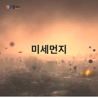 세종 미세먼지 농도 공원 산책 시간대 선택 건강 팁_21