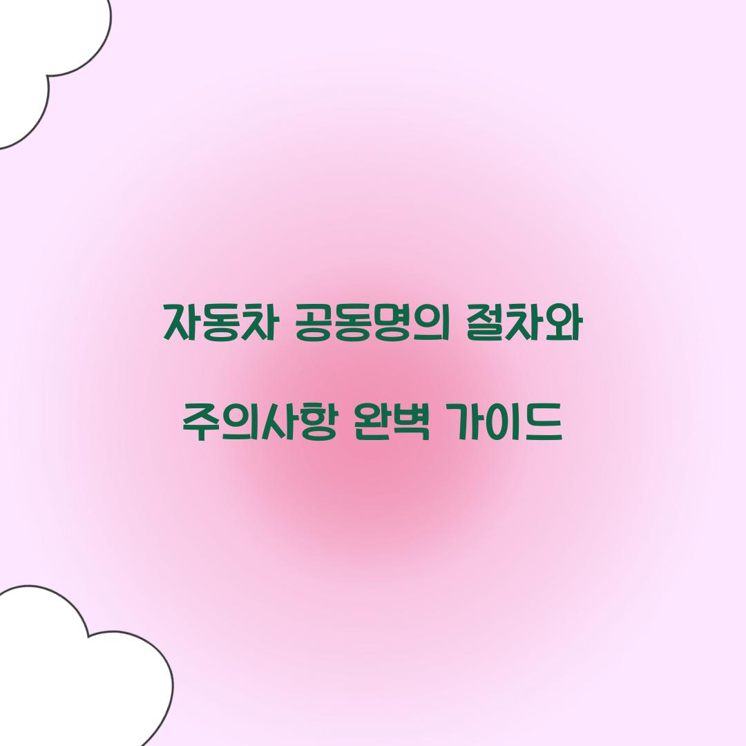 자동차 공동명의