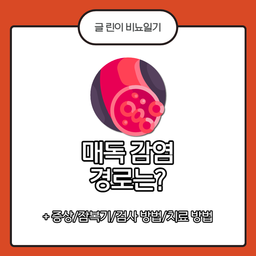 매독 감염 경로