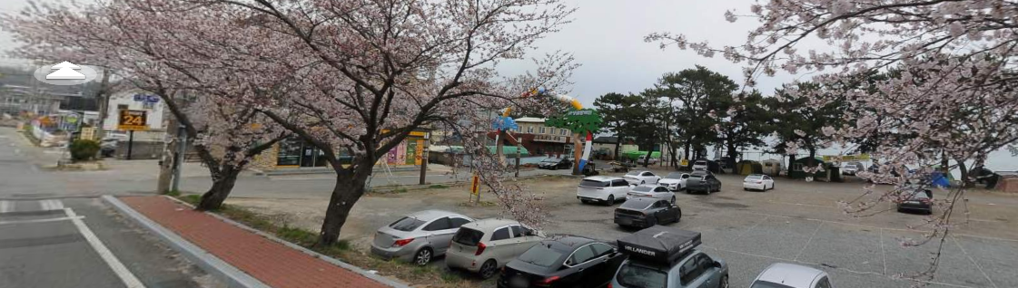 경남 노지차박 캠핑지 경주관성솔밭해변4